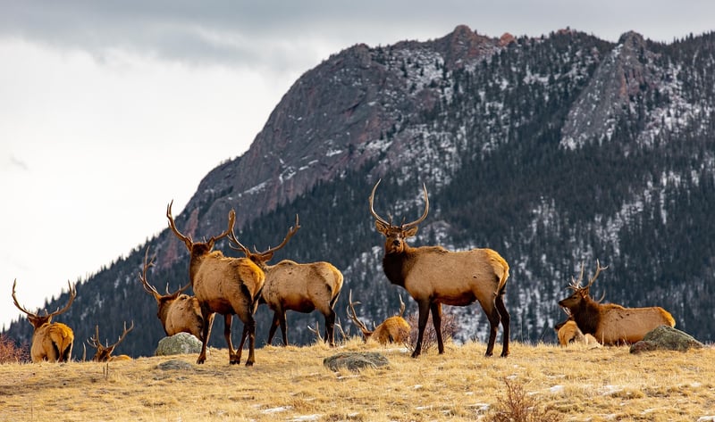 Aspen, Colorado